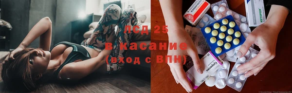 спайс Нея