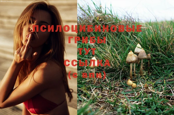 тгк Нефтегорск
