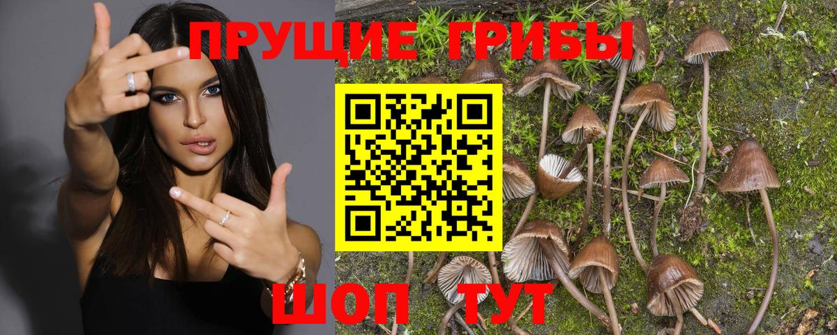 Канабис  Cocaine  Меф кристаллы  Гашиш  Искитим  Вход с VPN 