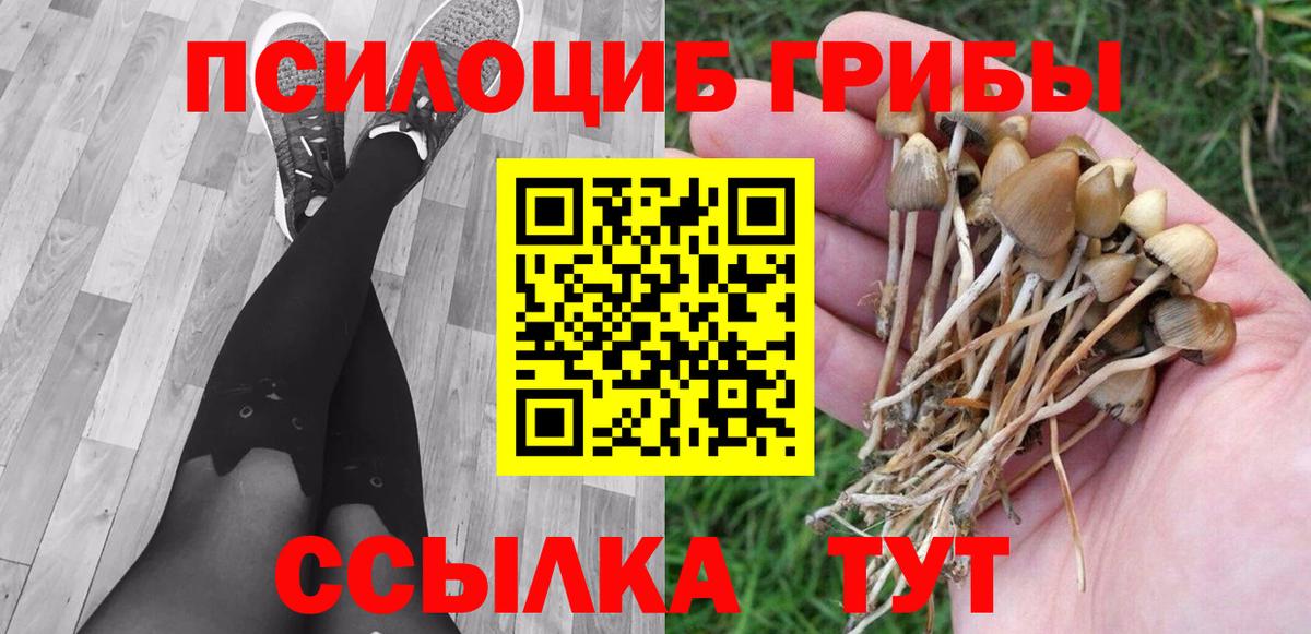 Галлюциногенные грибы MAGIC MUSHROOMS  Искитим  Псилоцибиновые грибы Psilocybine cubensis 