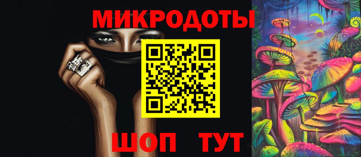 Псилоцибиновые грибы Psilocybe Искитим