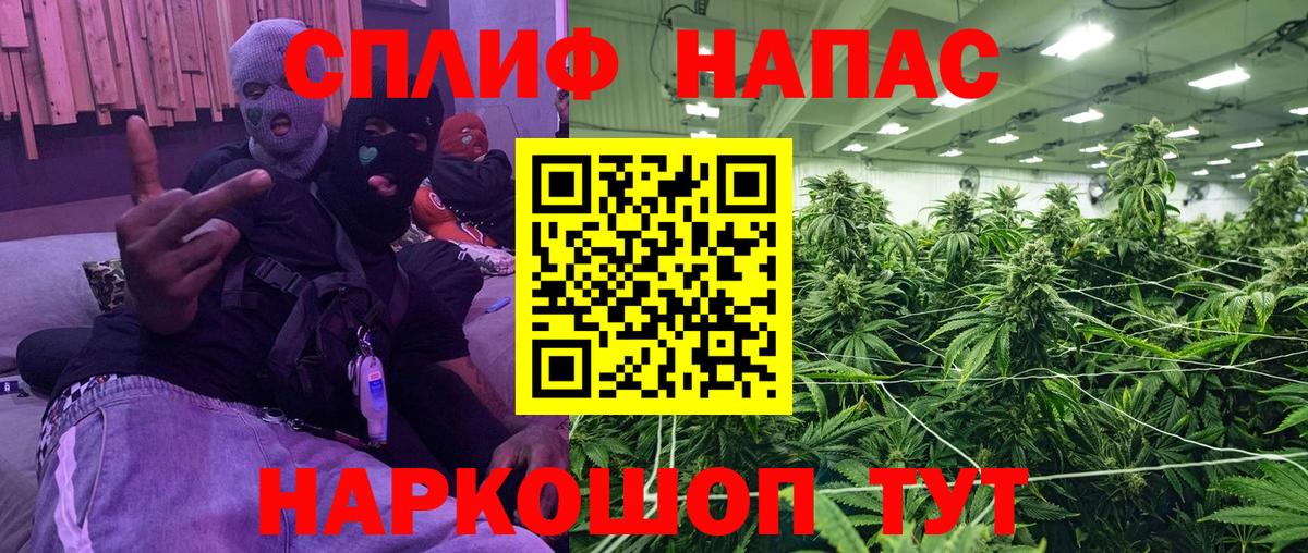 Бошки марихуана план Искитим